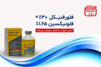 داروی ترکیبی جدید رازک؛ کاهش تزریقات مکرر و ارتقای درمان دام